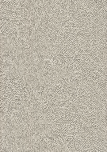 This Large, High Resolution Scan of Beige Pleather Rough Wizened Grunge Texture, is excellent choice for implementation in various 2-D and 3-D CG Projects. 