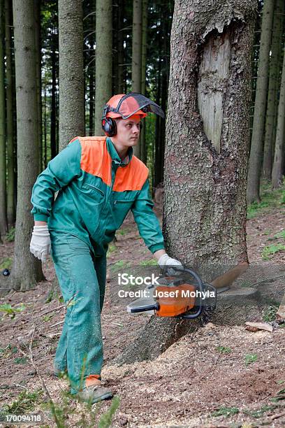 Trabajadores Forestales Con Sierra De Cadena Foto de stock y más banco de imágenes de Accesorio de cabeza - Accesorio de cabeza, Actividad, Adulto