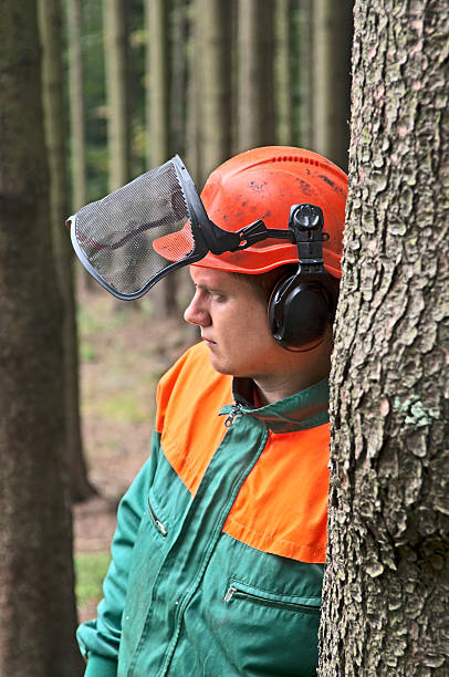 istock Portrait of Lumberjack 170094125