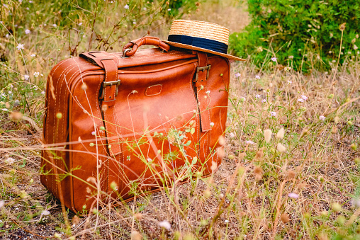 Vintage old brown suitcase surrounded by abandoned plants in the countryside.