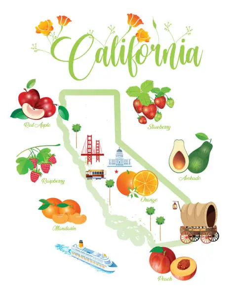 Vector illustration of California Fruits Map