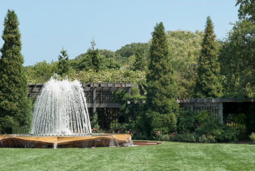 Fountain at Chicago Botanical Garden