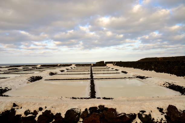 istock Salt Flats in the Canry islands 1700947904