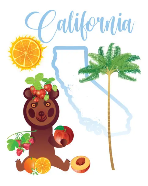 Vector illustration of California and Funny Bear