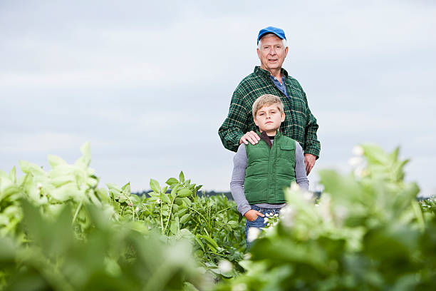istock Farmer with grandson in field 170096093