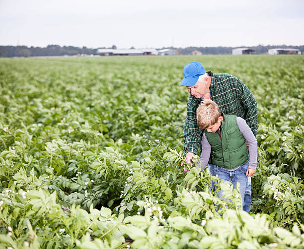 istock Farmer with grandson in field 170096096