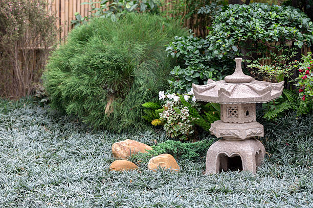 ogród japoński - bush formal garden boxwood flower bed zdjęcia i obrazy z banku zdjęć