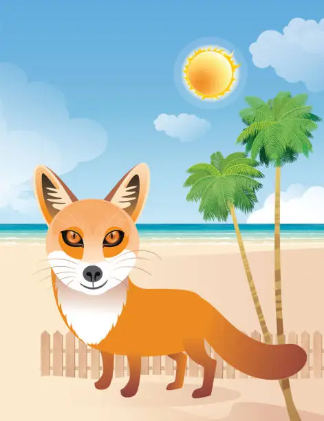 Vector illustration of Red Fox in desert