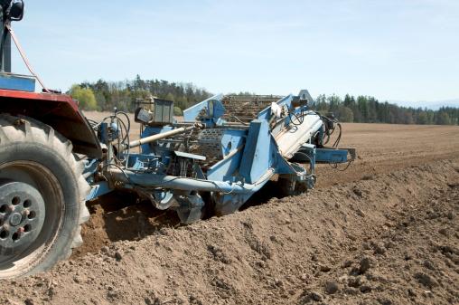 Tractor with soil separator on field. Preparation for seedlings of potatoes.
