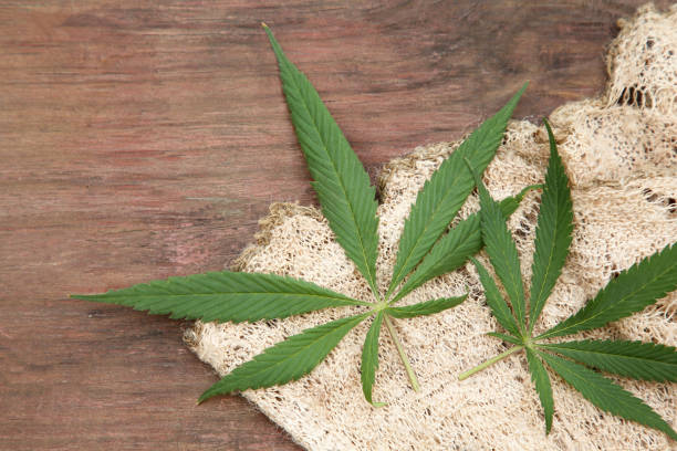istock Hemp cloth and green leaves on wooden table, top view. Space for text 1700969721