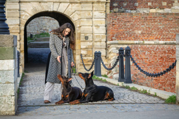 istock Girl with dogs 1700979552