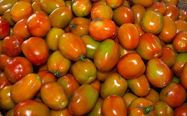 istock Fresh tomatoes from farm in a basket. 170097980