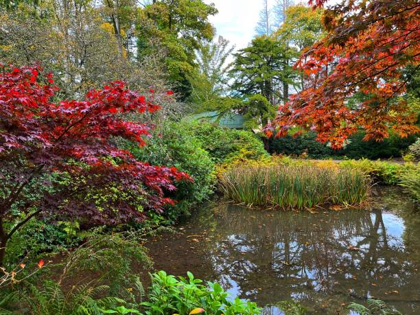 istock Autumn At Johnston Gardens 1700993834