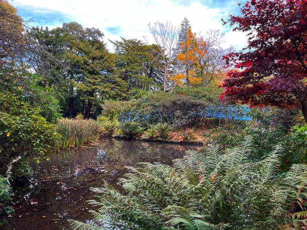 istock Autumn At Johnston Gardens 1700994809