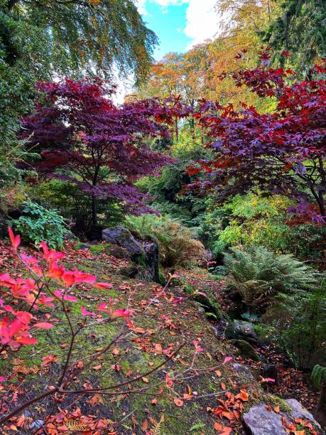 istock Autumn At Johnston Gardens 1700994826