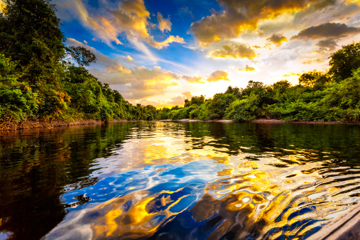 Dramatic landscape on a river in the amazon state Venezuela