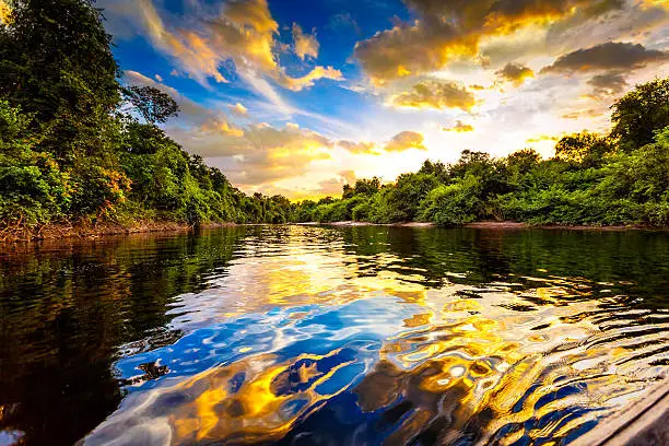 Dramatic colorful landscape on a river in the amazon state Venezuela at sunset