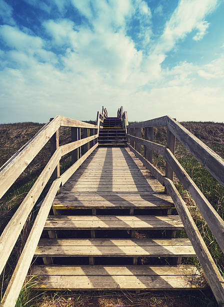 A set of stairs leads to Lawrencetown Beach.