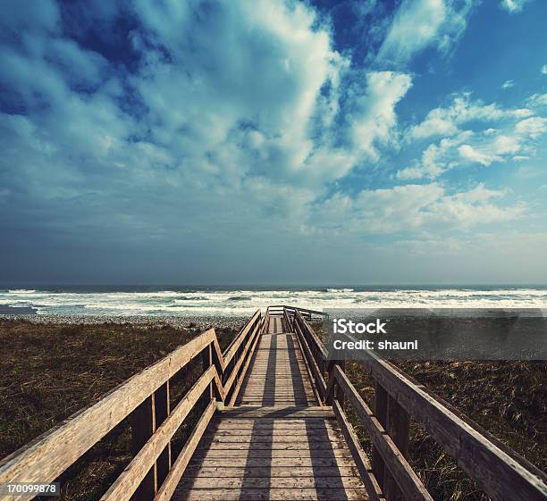 Lawrencetown Beach Boardwalk — стоковые фотографии и другие картинки Пляж - Пляж, Атлантический океан, Без людей
