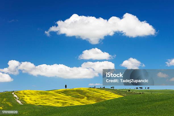 투스카니 풍경 0명에 대한 스톡 사진 및 기타 이미지 - 0명, 곡초류, 구름