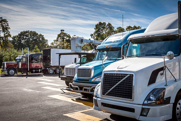 istock Fronts of Trucks in Parking Lot on a Sunny Afternoon 170100452
