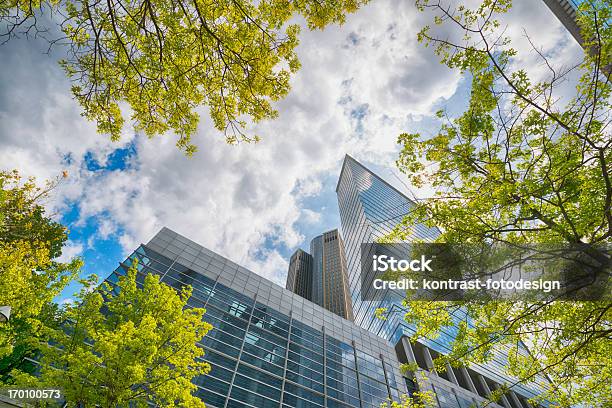 Ufficio Moderno Edificio Di Spring - Fotografie stock e altre immagini di Albero - Albero, Esterno di un edificio, Inquadratura estrema dal basso