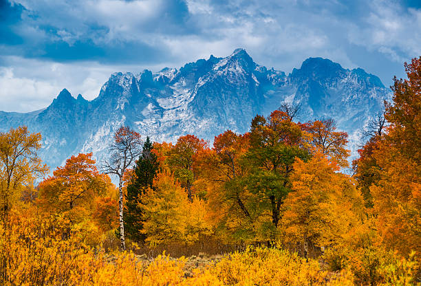 Beautiful autumn scene at Grand Teton National Park, Wyoming, USA