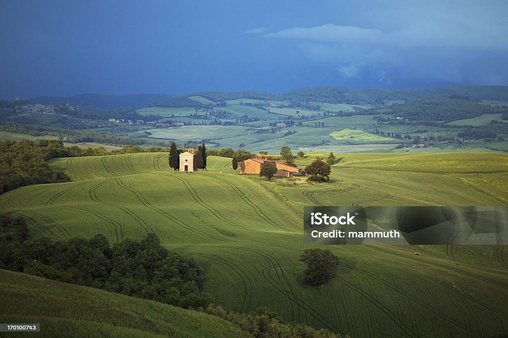 Piccola cappella in Toscana - Foto stock royalty-free di Albero