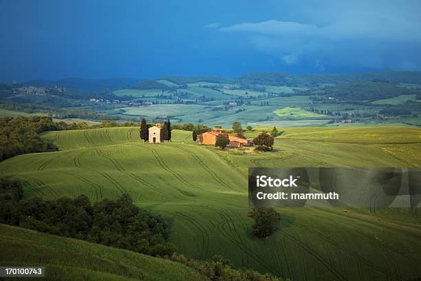 Piccola Cappella In Toscana - Fotografie stock e altre immagini di Albero - Albero, Ambientazione esterna, Ambientazione tranquilla