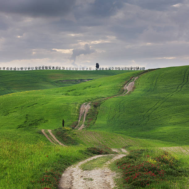 istock winding road in Tuscany 170100746