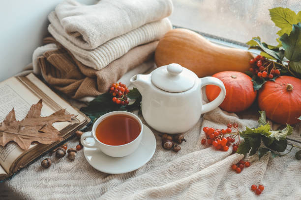 istock Cup of tea in autumn composition with viburnum 1701016486