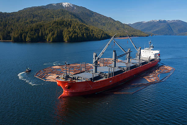 Aerial photo of a large cargo ship being loaded with raw wood on the north coast of North America.