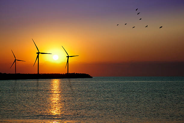 Wind turbine farm in sunset 
