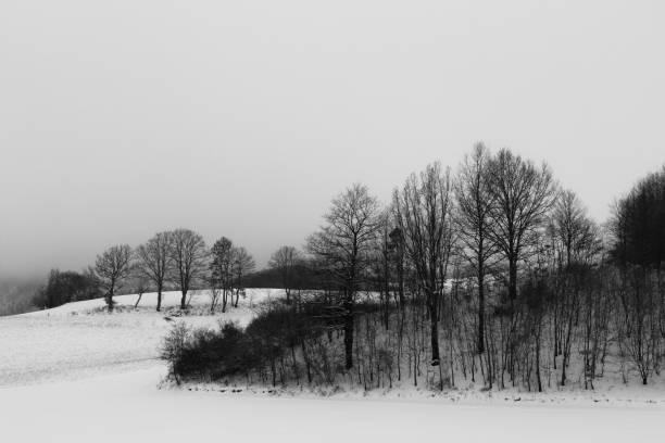 istock Winter landscape, with trees and hill covered by snow, under a moody, cloudy sky 1701034896