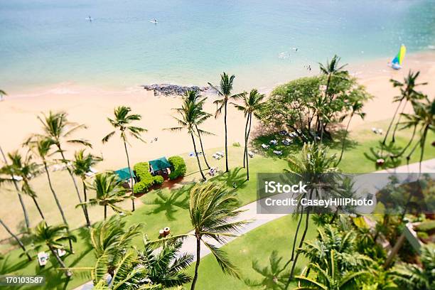 Spiaggia Tropicale - Fotografie stock e altre immagini di Abbronzarsi - Abbronzarsi, Acqua, Albero