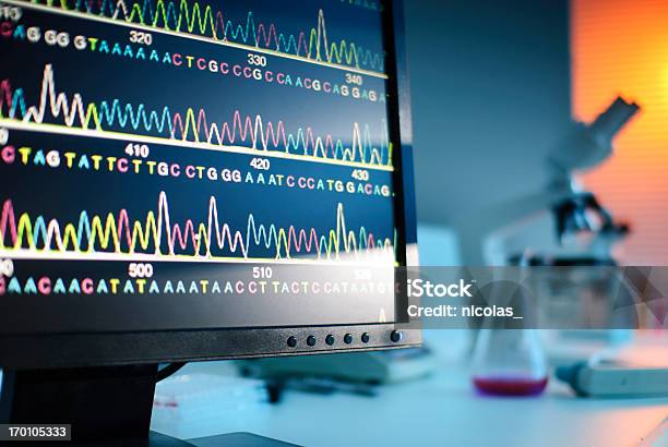 Dnasequence Stockfoto und mehr Bilder von DNA-Sequenzierungsgel - DNA-Sequenzierungsgel, Computer, Computerbildschirm