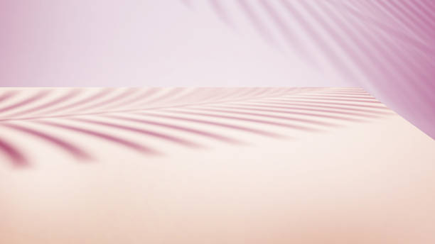 3d render mockup podium stand table. Purple pink beige  white background. Palm tree leaf shadow. Pastel. Beauty product. Wall stage room studio.