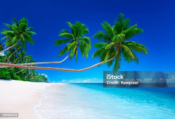 Paraíso Tropical Foto de stock y más banco de imágenes de Clima tropical - Clima tropical, Playa, Aire libre