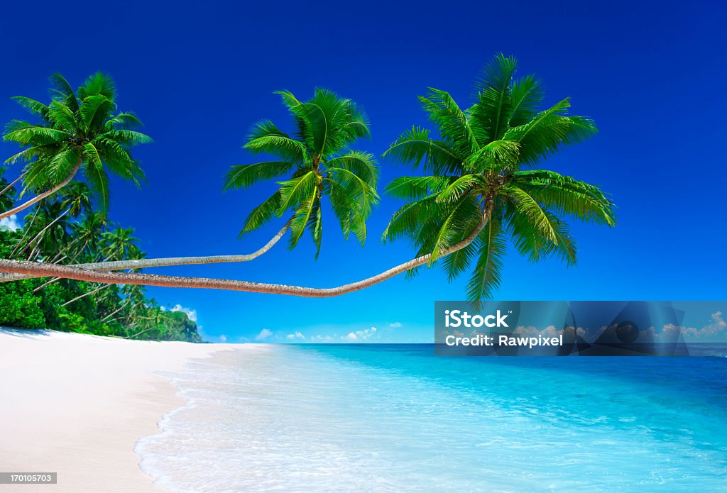 Tropikalny raj - Zbiór zdjęć royalty-free (Klimat tropikalny)