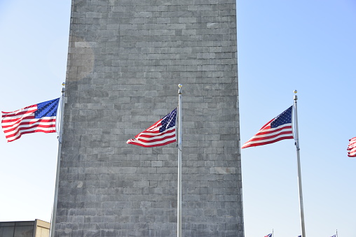 Panoramic daytime view of American flags in front of the Washington monument in Washington DC.