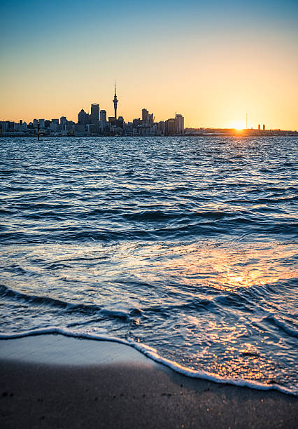 Auckland at Sunset Auckland's CBD silhouetted against a setting sun, photographed from the Devonport beach. auckland stock pictures, royalty-free photos & images