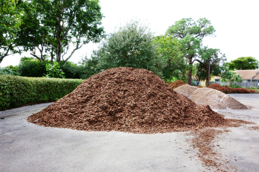 A large pile of shredded pine bark has been dumped in a parking lot for use in landscaping. In the background are smaller piles of a lighter color mulch. Overcast day.