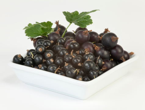 Jostaberry and Black Currant in bowl on white background. Jostaberry is hybrid between black currant and gooseberry.