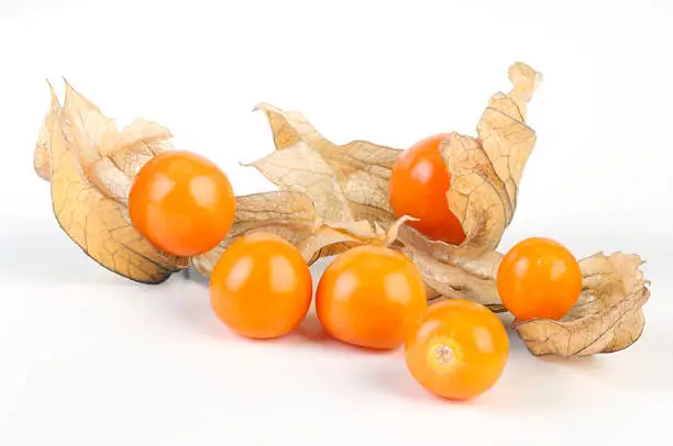 Group of Physalis on white background.
