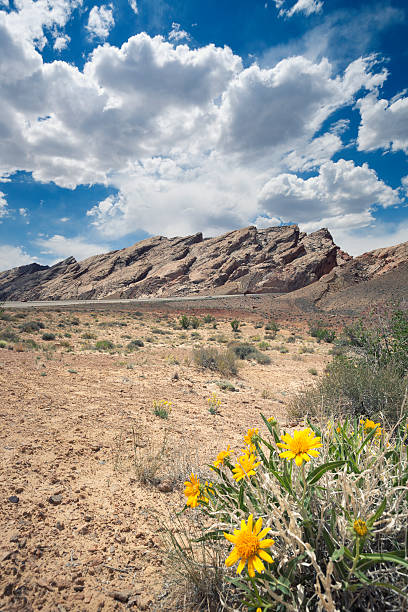 san rafael-riff, utah - san rafael swell stock-fotos und bilder