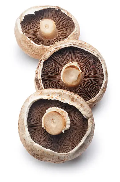 Three portobello mushrooms isolated on white.