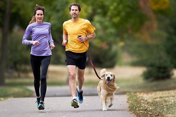 golden retriever, mann und frau joggen auf einem befestigten weg. - action dog outdoors animal trainer stock-fotos und bilder