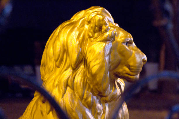istock Lion on the streets 1701166534