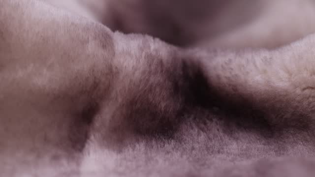 a close-up of a part of a fur coat made of sheepskin