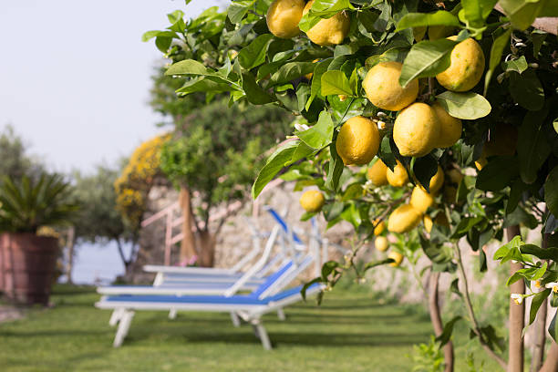 istock Amalfi Coast in Campania, Italy 170118134